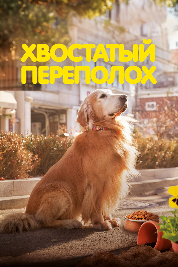 Хвостатый переполох 2024 смотреть онлайн бесплатно